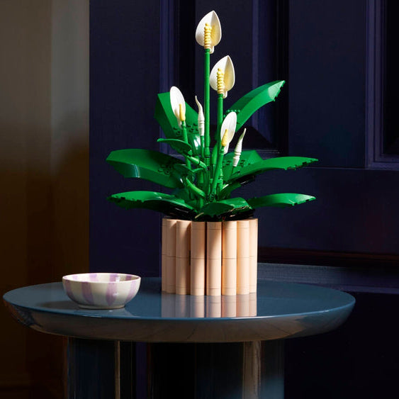 LEGO® Botanicals 2026: New Sets Overview & Display Solutions