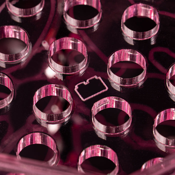 Limited Edition Valentine’s Day Vase for LEGO® Botanical Flowers