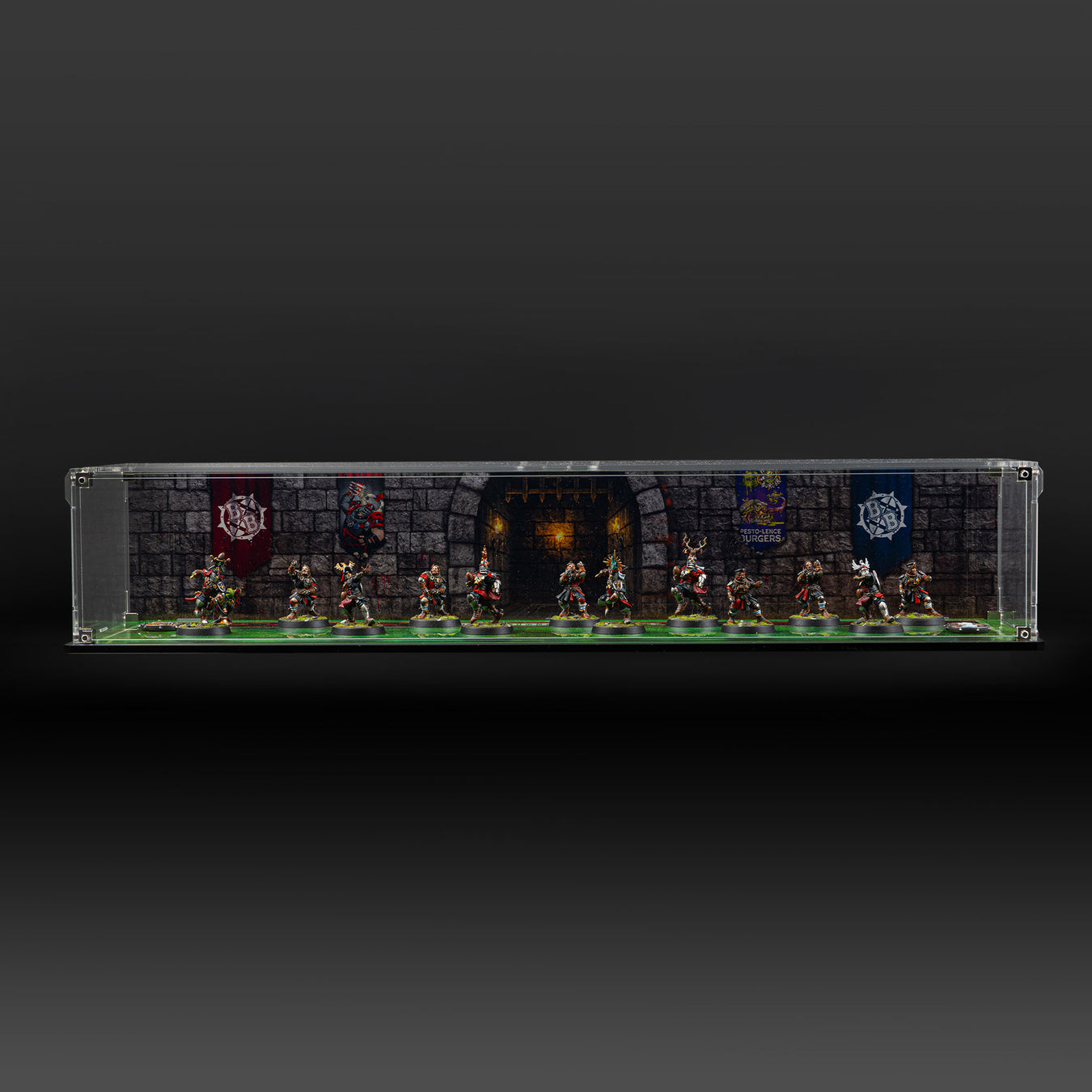 Display Solutions for Warhammer Blood Bowl