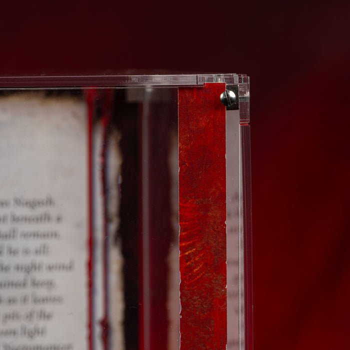 Limited Edition Display Cases for Warhammer® Age of Sigmar Flesh-eater Courts