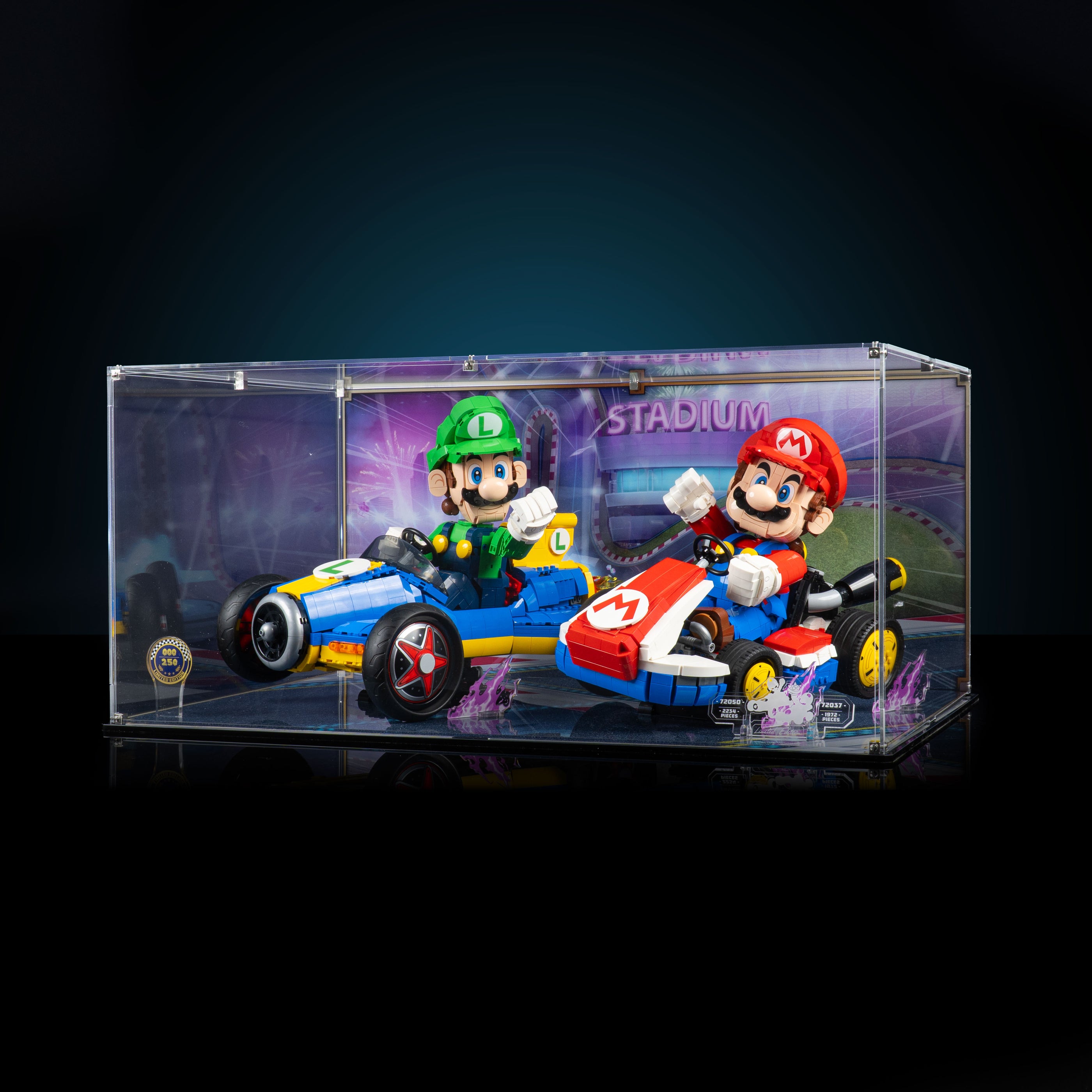Display Case for LEGO Mario & Standard Kart 72037 & Luigi Mach 8 72050 ...
