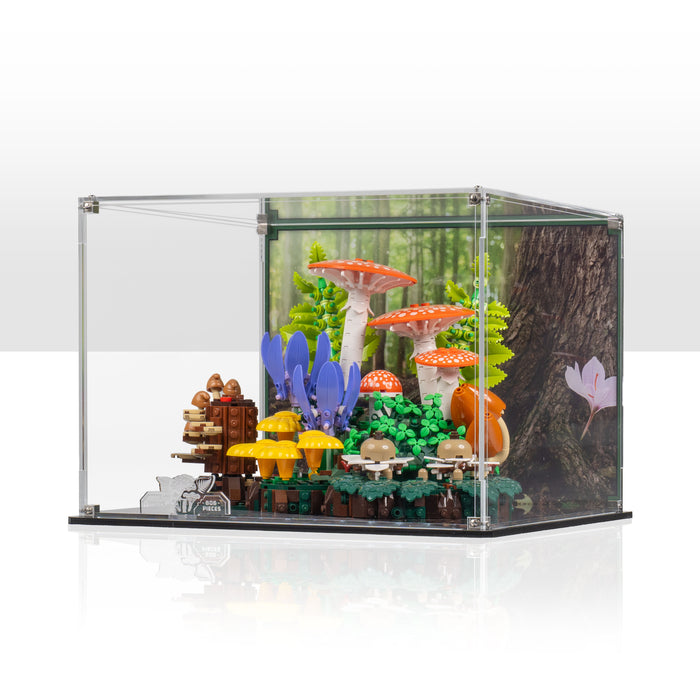 Display Case for LEGO® Botanicals Woodland Mushrooms (11505)