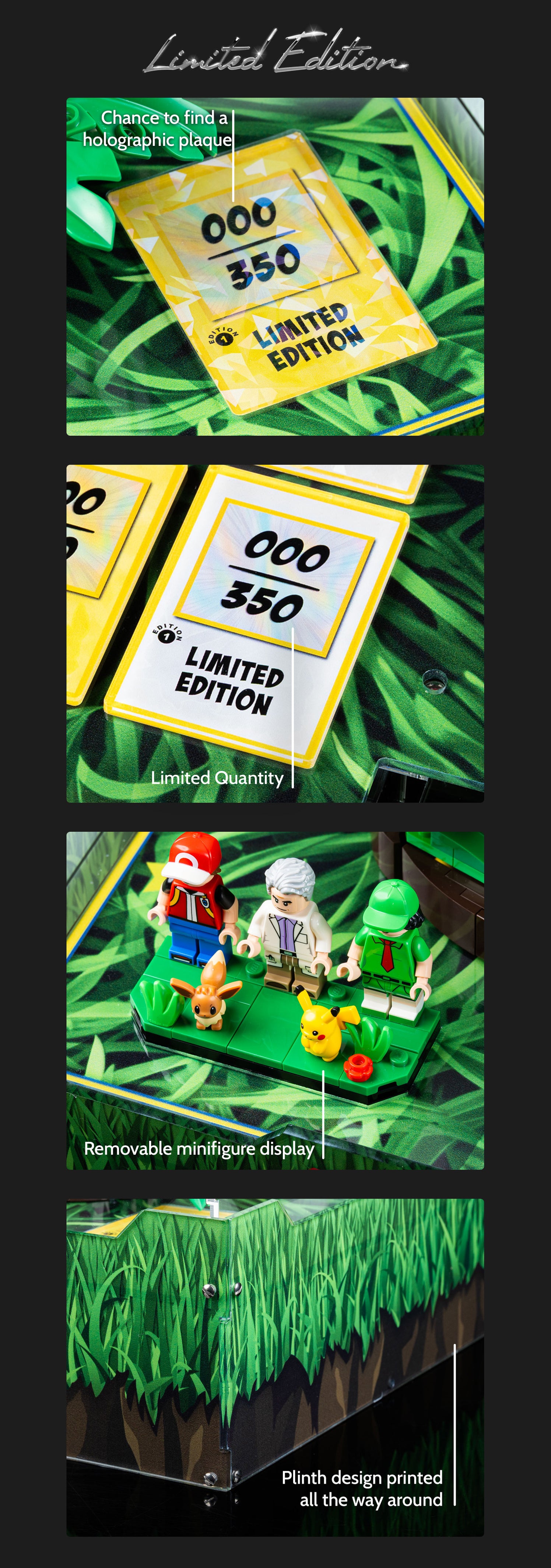 Limited Edition Display Case for LEGO® Pokémon™: Iconic Trainer Moment ...