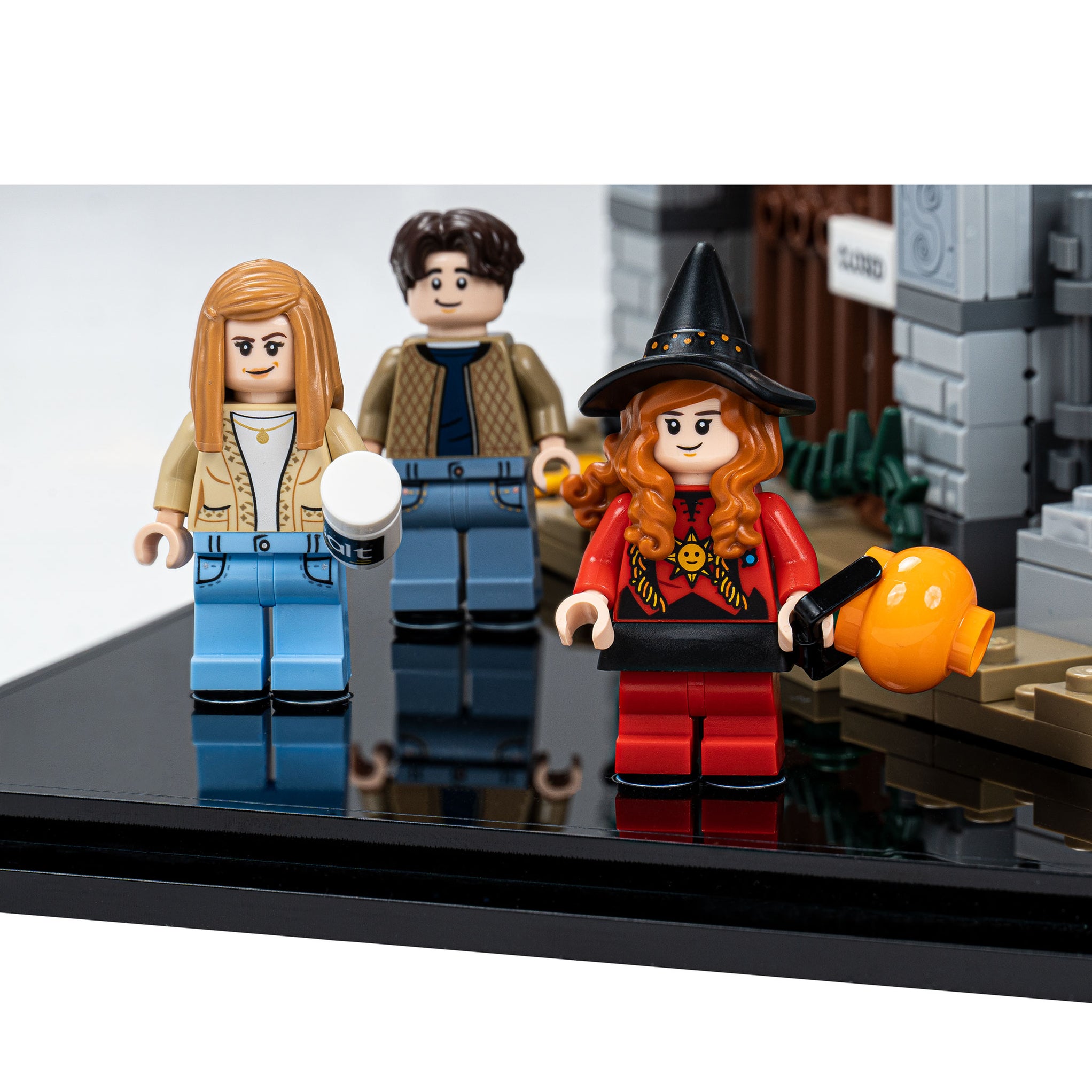 Display Case for LEGO Hocus Pocus Sanderson Sisters' Cottage 21341