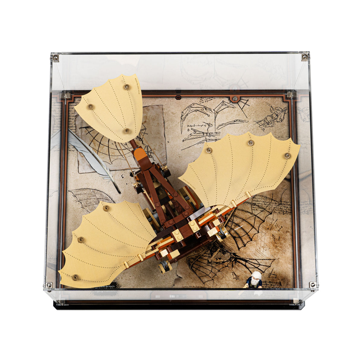 Louis de Coninck松谷コレクション150ケース限定ヴィンテージ LDS257-TOP-DOWN_1200x1200.jpg?