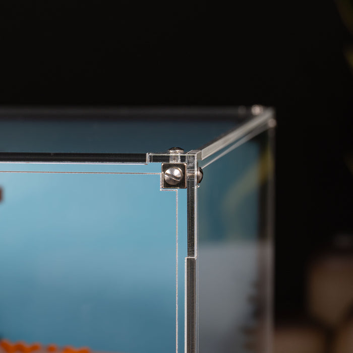 Display Case for LEGO® Ideas: Twilight The Cullen House (21354)