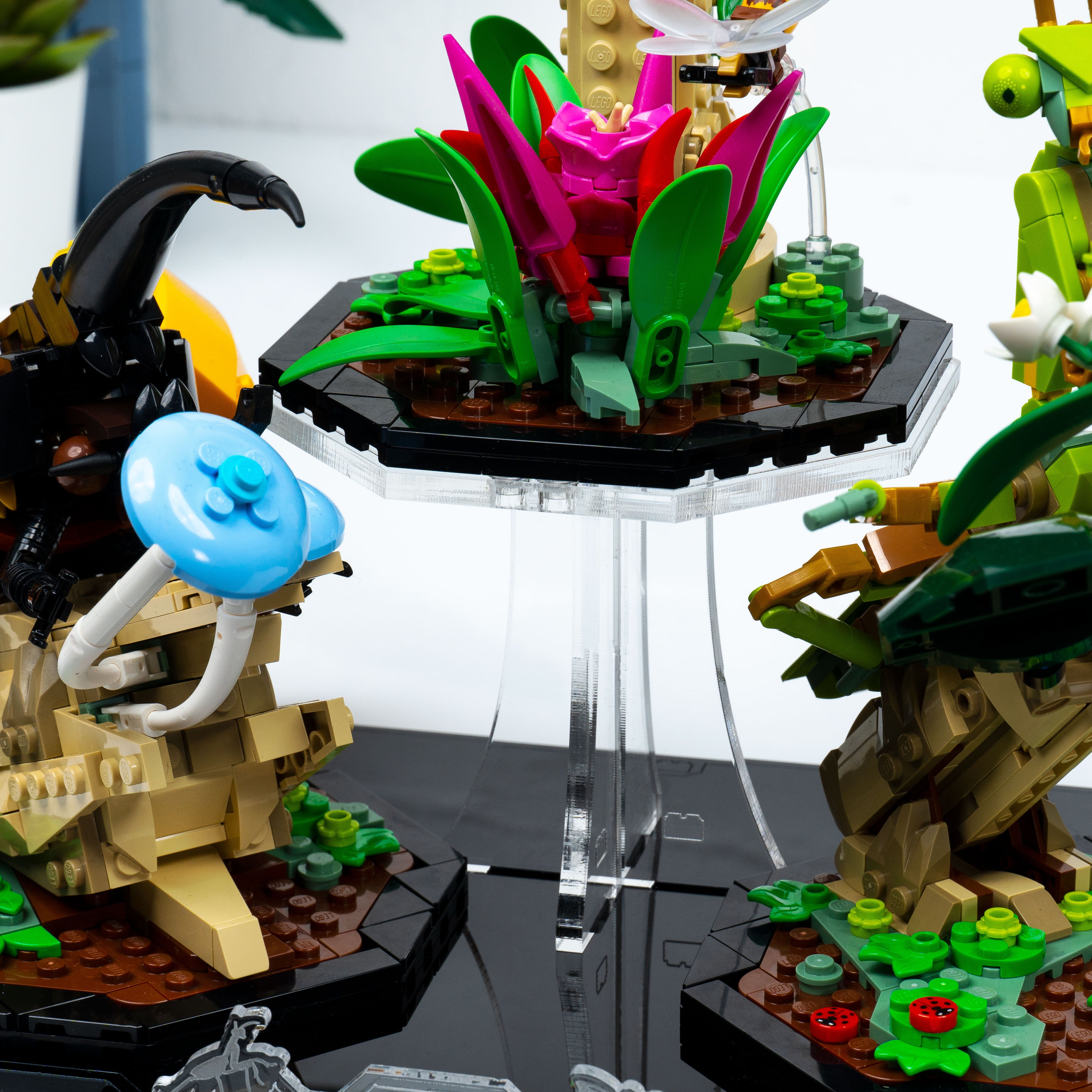 Display Stand for LEGO Ideas The Insect Collection 21342 — Wicked Brick