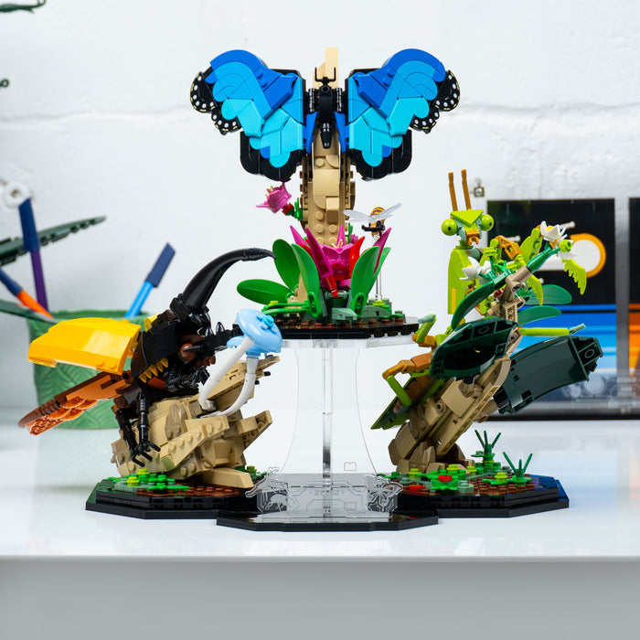 Display stand for LEGO® Ideas: The Insect Collection (21342)