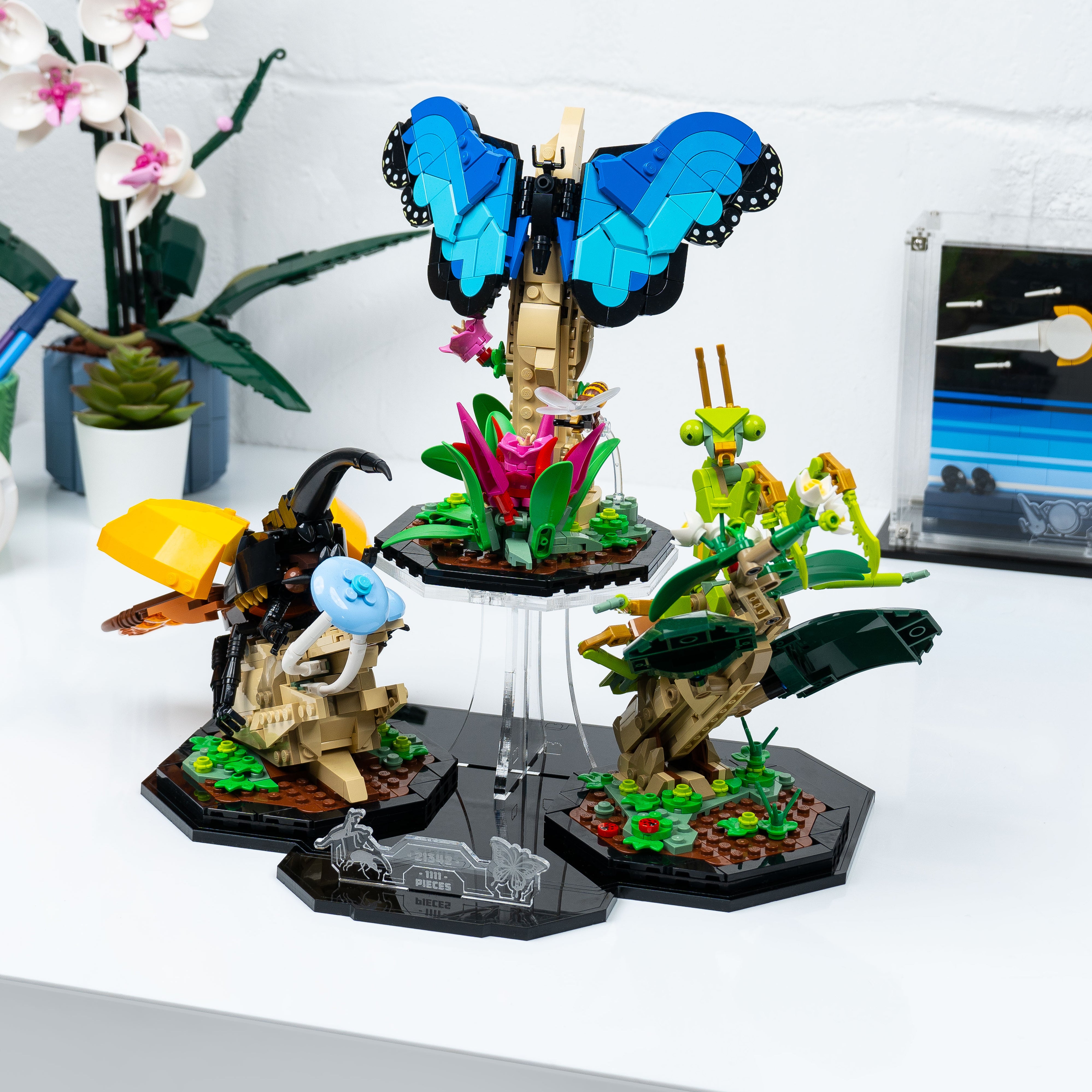 Insect Stand Display Stand for LEGO Ideas The Insect Collection 21342 — Wicked Brick