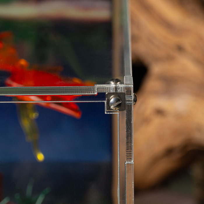 Display Case for LEGO® Icons: Lord of the Rings The Shire™ (10354)