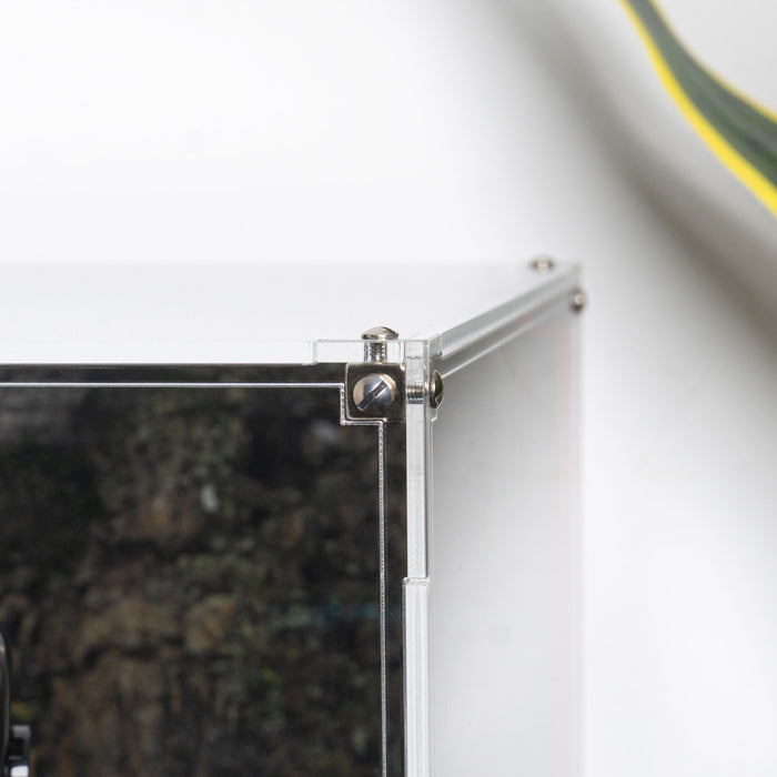 Display Case for LEGO® Icons: How To Train Your Dragon - Toothless (10375)