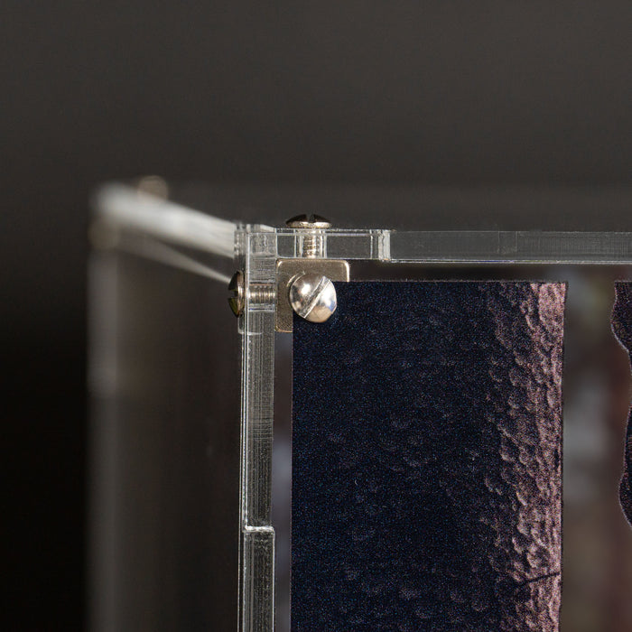 Display Case for LEGO® Star Wars™ UCS AT-ST Walker (75417)