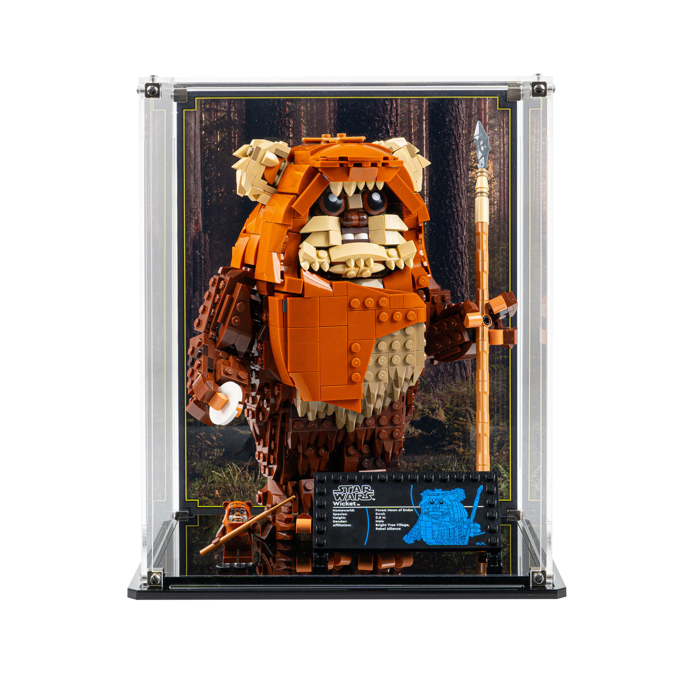 Display Case for LEGO® Star Wars: Wicket the Ewok (75430) — Wicked Brick