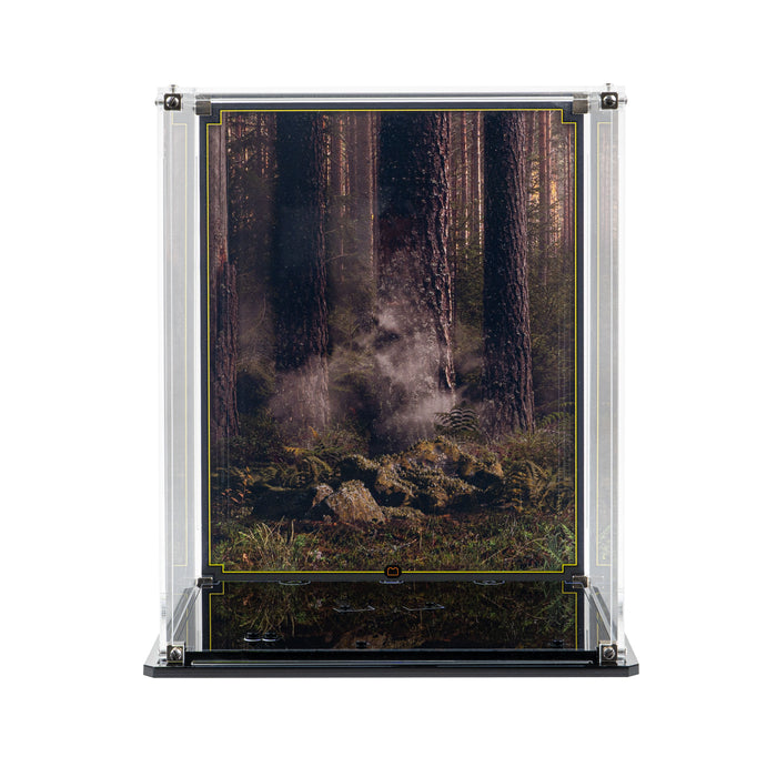 Display Case for LEGO® Star Wars: Wicket the Ewok (75430)