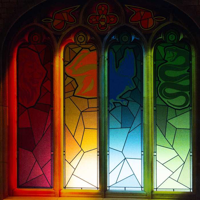 Limited Edition Display Case for LEGO® Harry Potter: Philosopher's Stone – Collectors' Edition (76466)