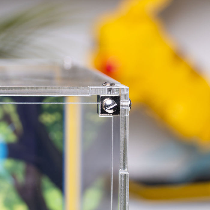 Display Case for LEGO® Pokémon™: Eevee (72151)