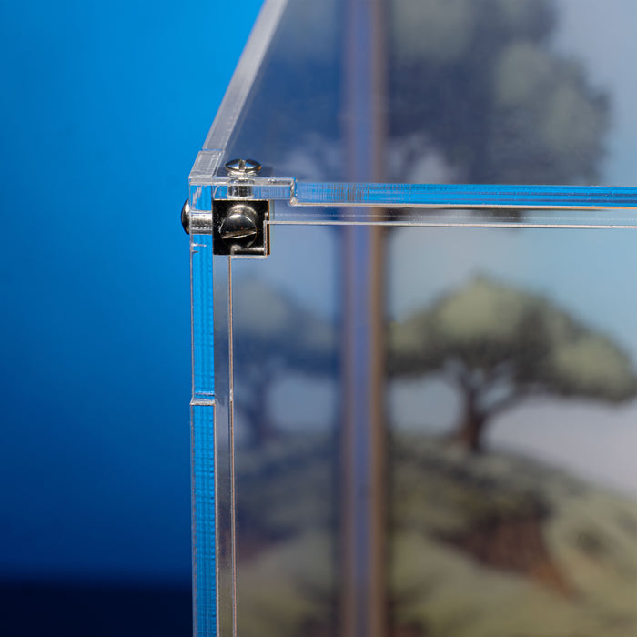 Limited Edition Display Case for LEGO® Disney Winnie the Pooh (43300)
