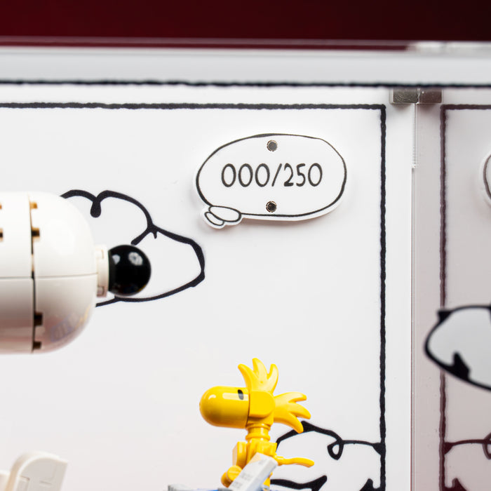 Limited Edition Display Case for LEGO® Ideas: Peanuts: Snoopy's Doghouse (21368)