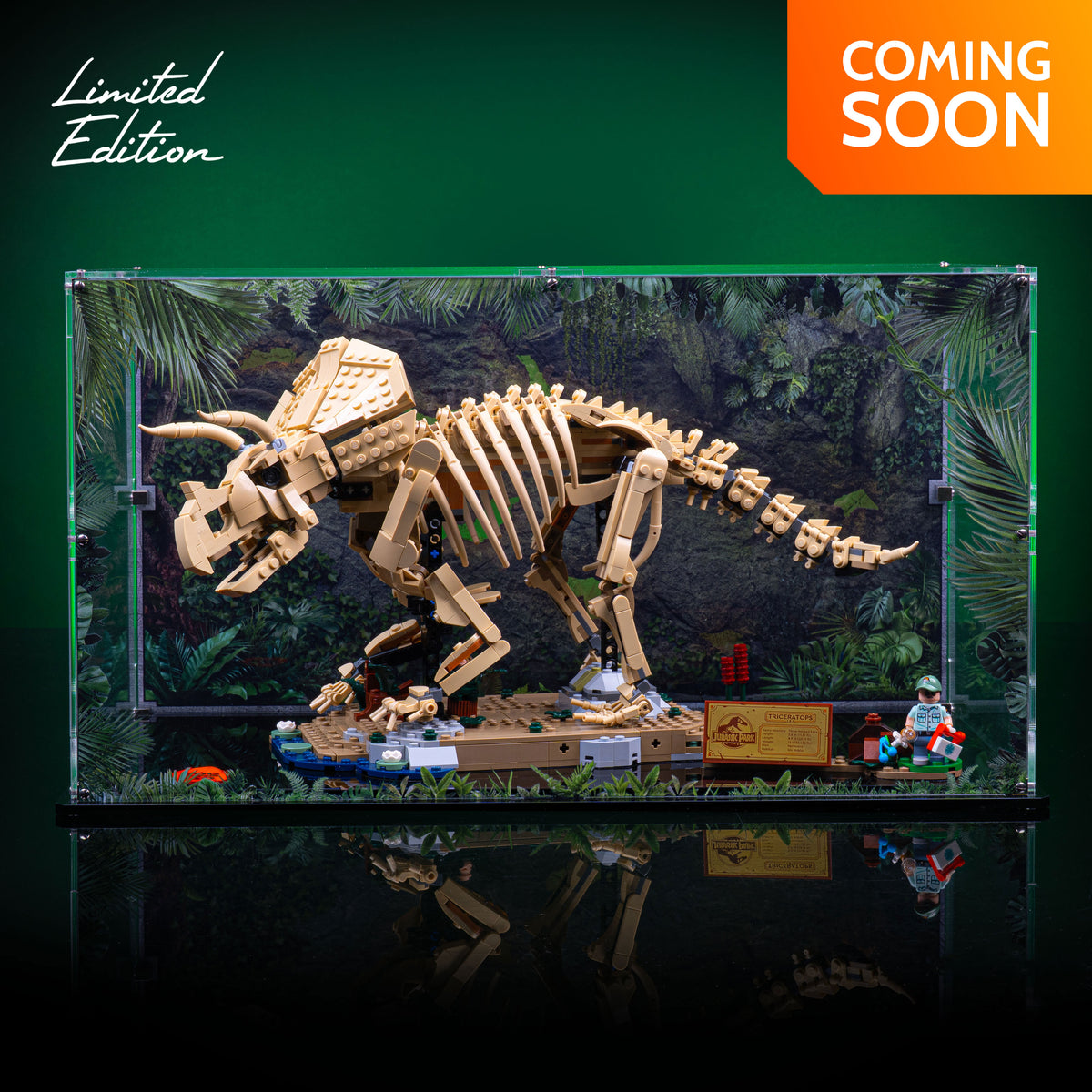 Limited Edition Display Case for LEGO® Dinosaur Fossils