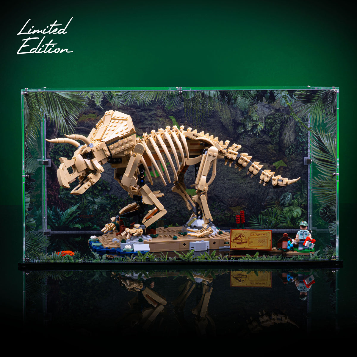 Limited Edition Display Case for LEGO® Dinosaur Fossils