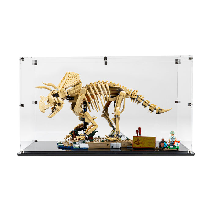 Display Case for LEGO® Dinosaur Fossils: Triceratops (77985)