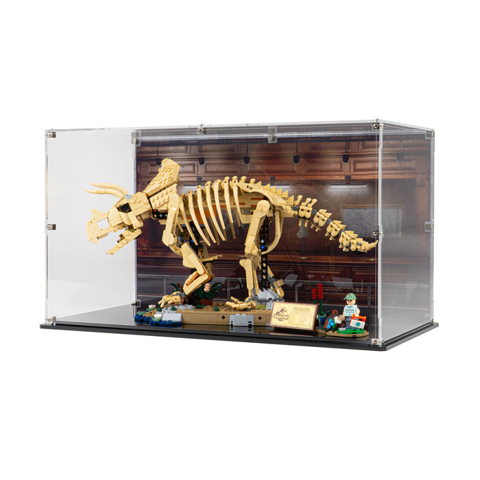 Display Case for LEGO® Dinosaur Fossils: Triceratops (77985)