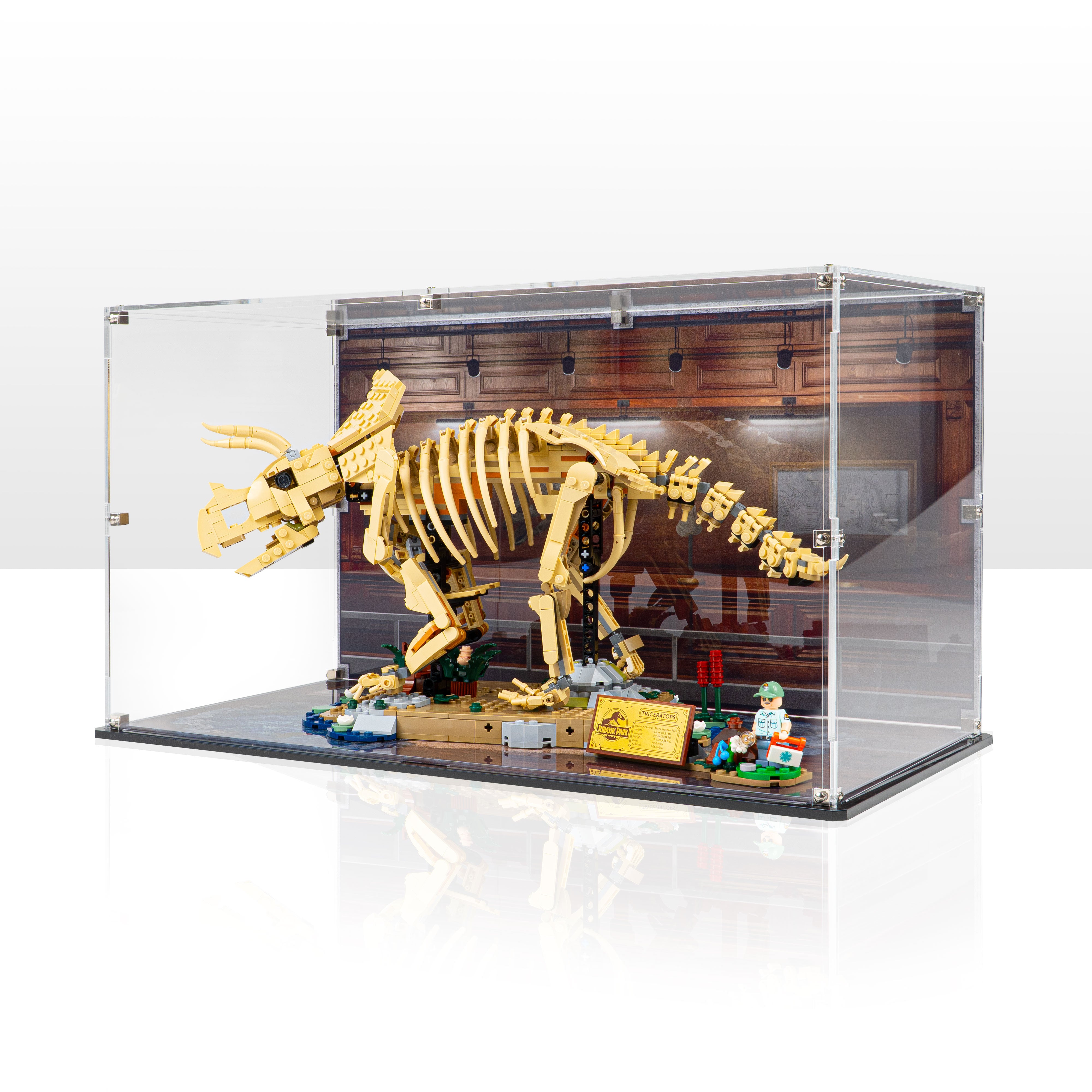Display Case for LEGO® Dinosaur Fossils: Triceratops (77985