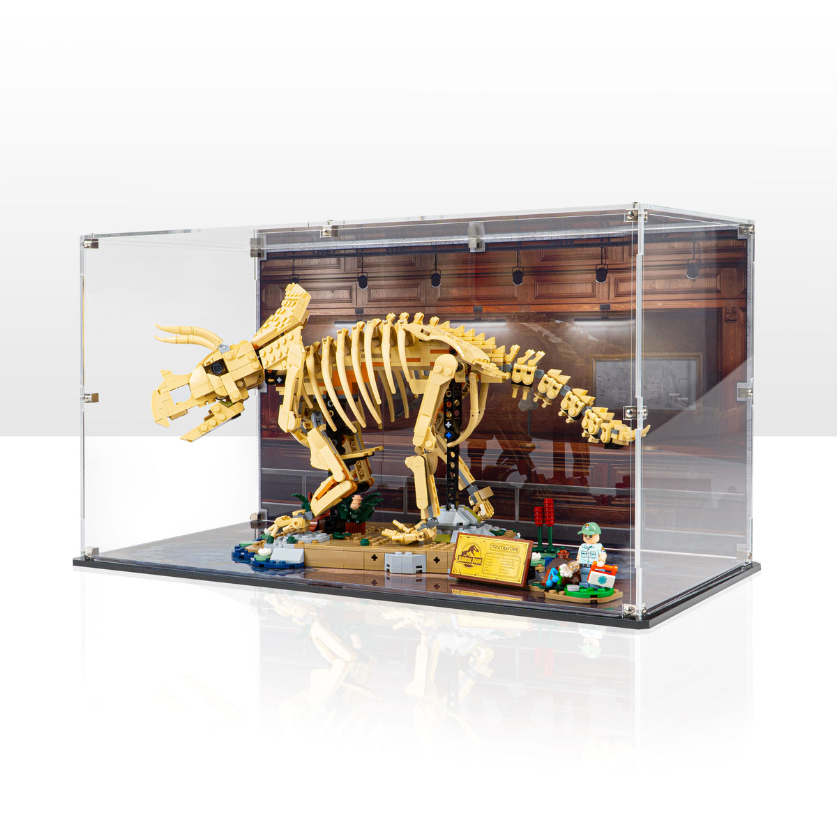 置物 Display Case for LEGO® Dinosaur Fossils: Triceratops (77985