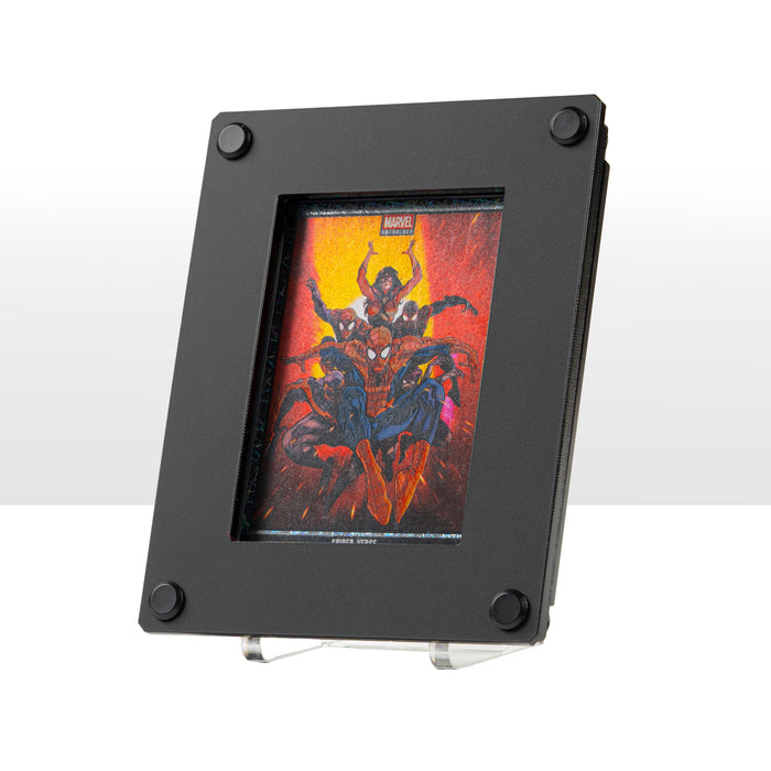 2-in-1 Display Frame for Trading Card Slabs