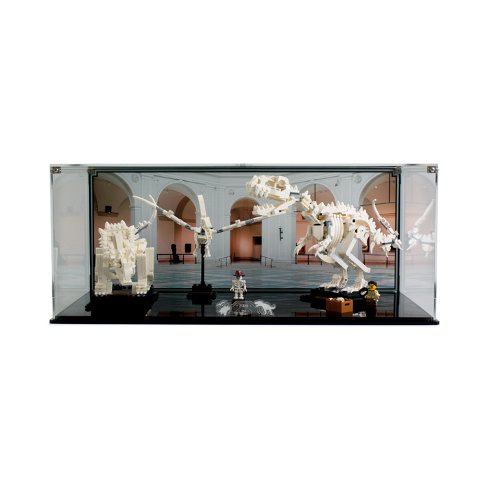 Display case for LEGO Ideas Dinosaur Fossils 21320