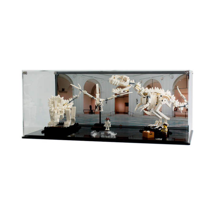 Display case for LEGO Ideas: Dinosaur Fossils (21320) - Wicked Brick
